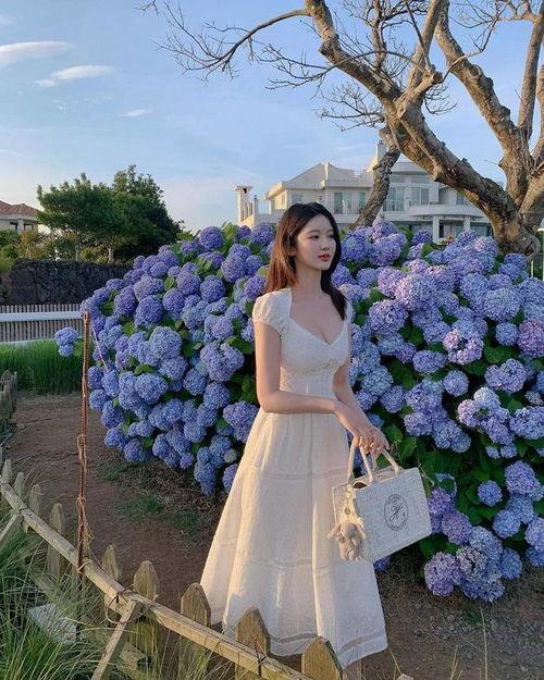 网红杨柳,从田间地头到网络红人的蜕变之路